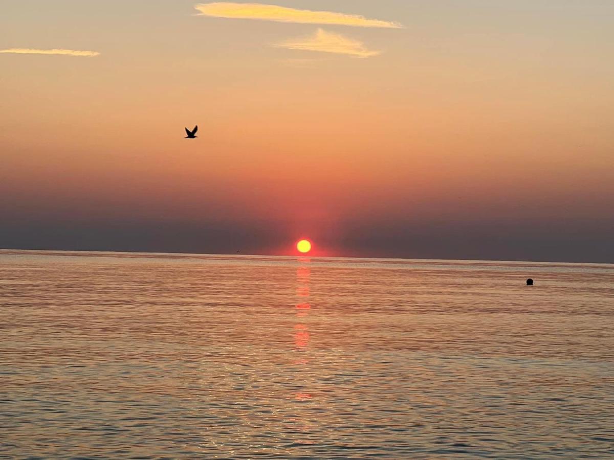 Complex Relax Pomorie All Inclusive Kültér fotó